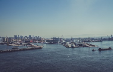 在线网页使用电话轰炸机